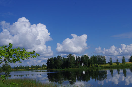 Yhdessä Suomen historian kirjoihin