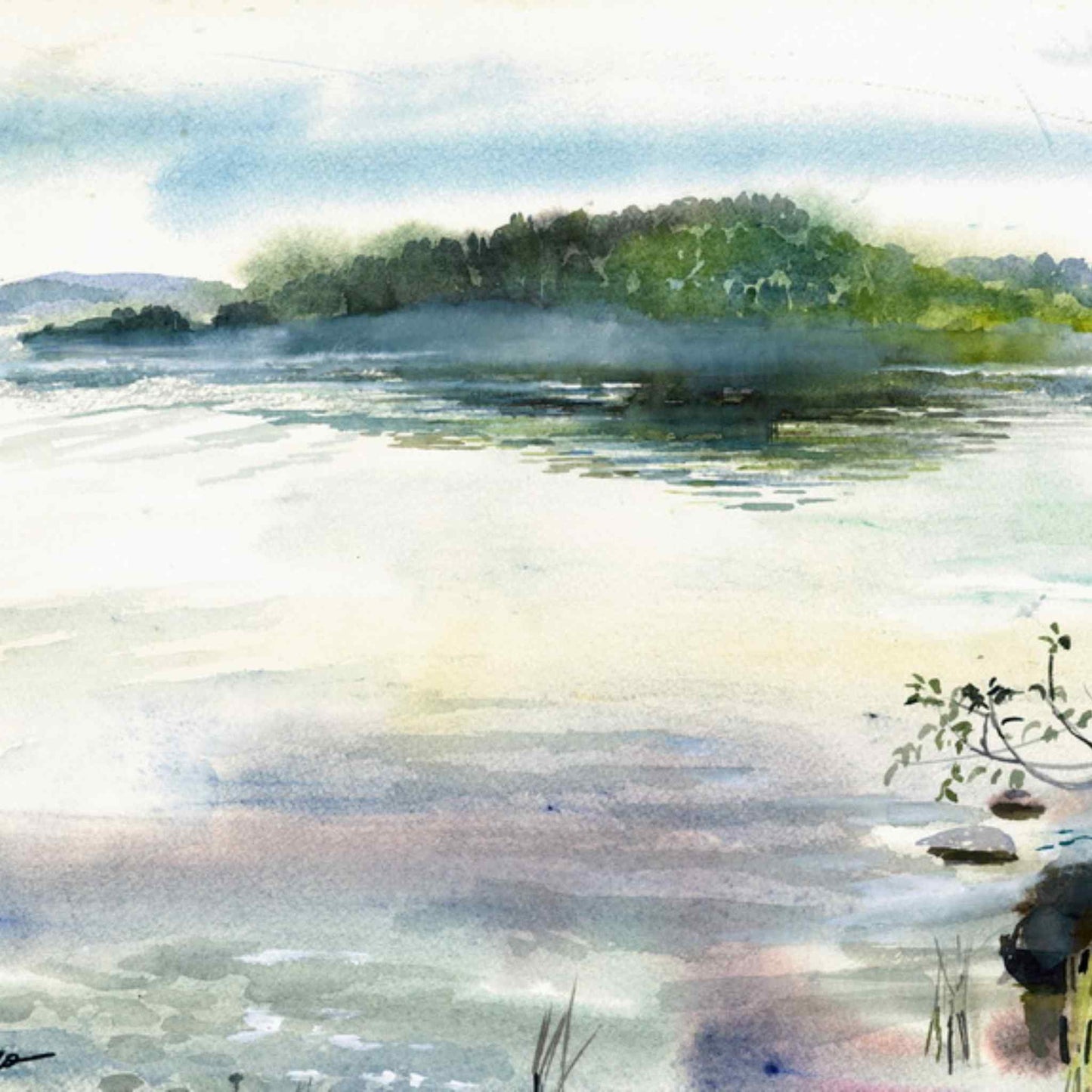 Saari